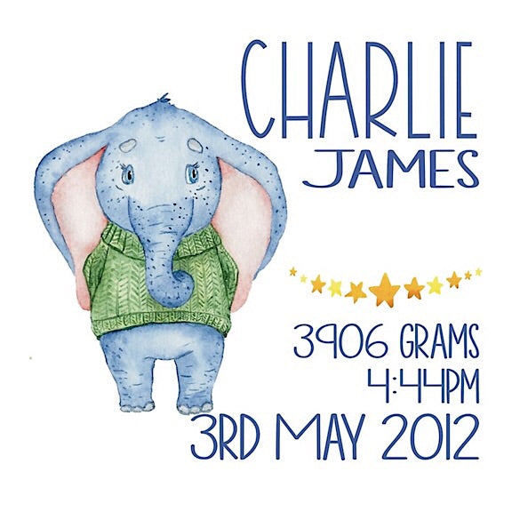 Boy Elephant Birth Announcement Cushion